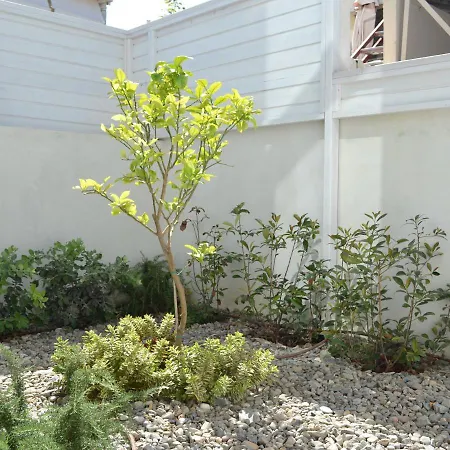 Filia Luxury Lägenhet